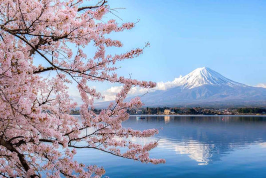Buy AloOui Japan eSIM — 5 must-visit destinations including Kyoto, Hakone, Sapporo, Naoshima and Okinawa - AloOui eSIM