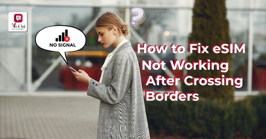 How to Fix eSIM Not Working After Crossing Borders (2026 Travel Guide) - AloOui eSIM