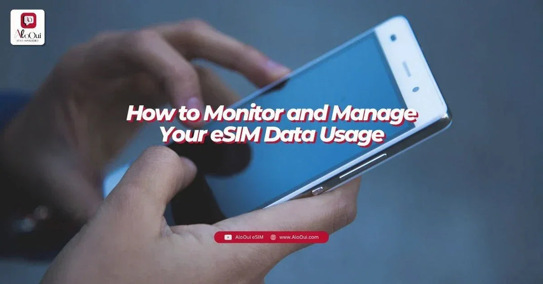 How to monitor and manage eSIM data usage on iPhone and Android — AloOui travel eSIM guide 2026 - AloOui eSIM