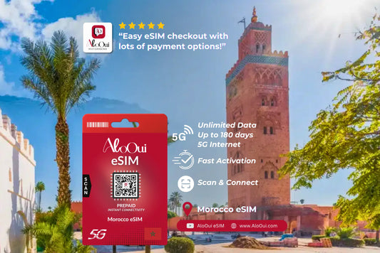 Morocco AloOui eSIM with a scenic background of a tower and palm tree. 