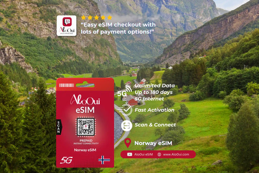 Norway AloOui eSIM with a scenic mountain landscape in the background 