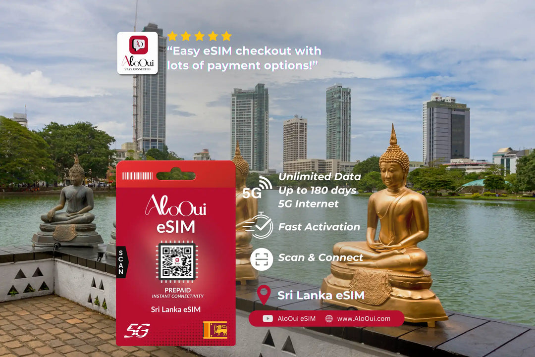 Sri Lankai AloOui eSIM with statues and cityscape in the background
