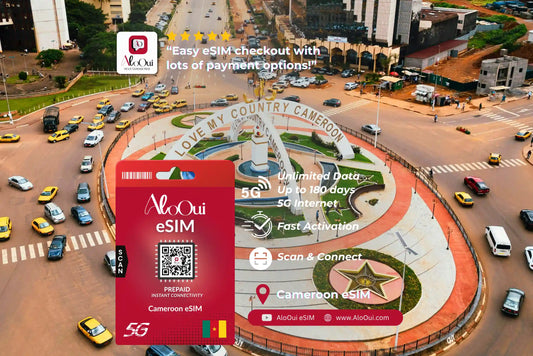 Cameroon AloOui eSIM with a cityscape background featuring a roundabout. 