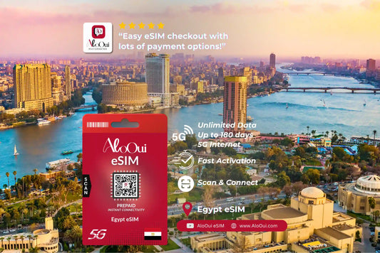 Egypt AloOui eSIM with a cityscape background 
