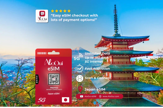 Japan AloOui eSIM with a scenic background of a traditional Japanese temple. 