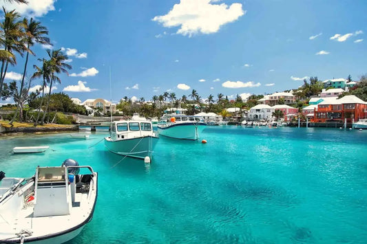 Bermuda - AloOui 