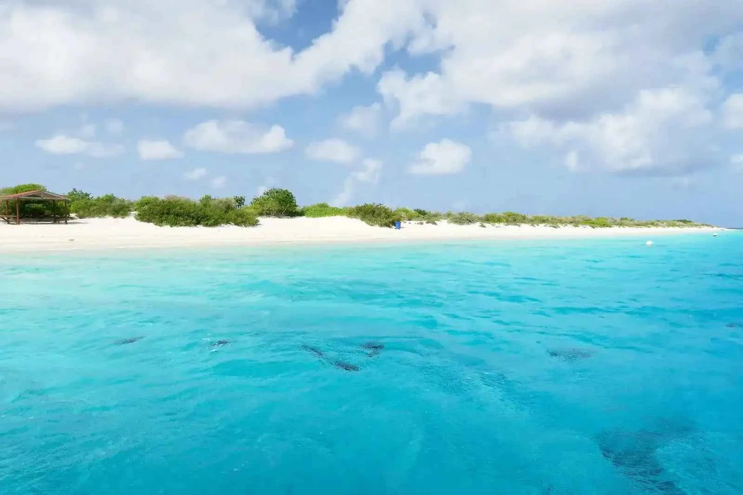 Bonaire, Sint Eustatius And Saba - AloOui