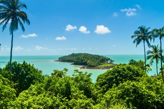 French Guiana 