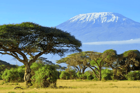 Tanzania - AloOui 