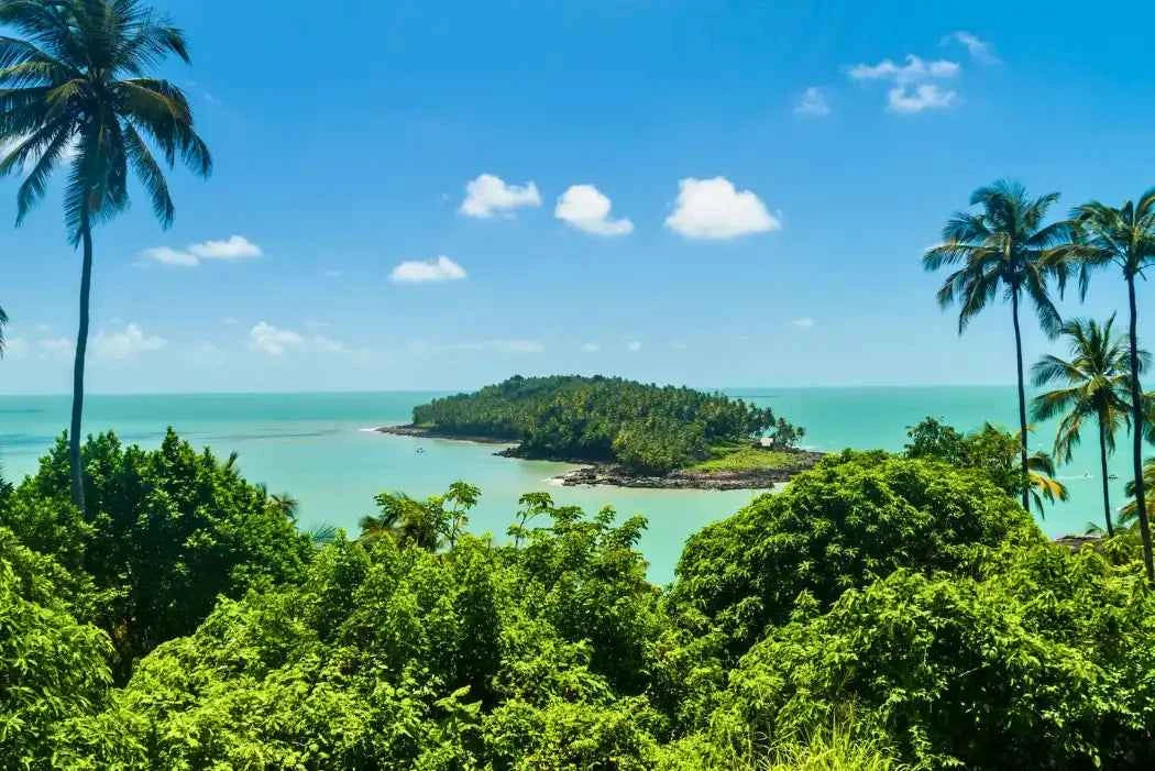 French Guiana - AloOui