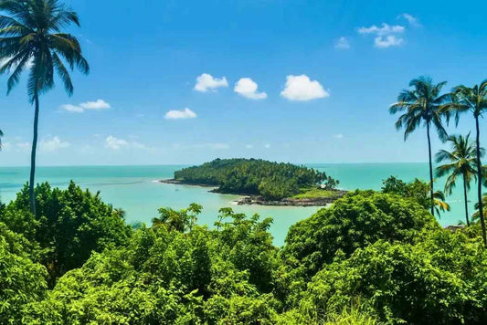 French Guiana - AloOui 