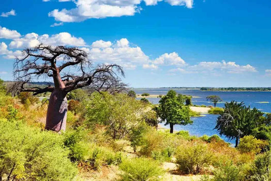Botswana - AloOui 