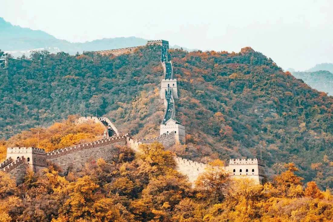 China - AloOui
