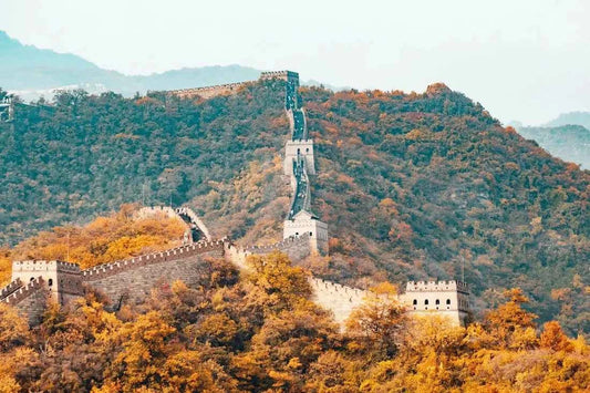China - AloOui 