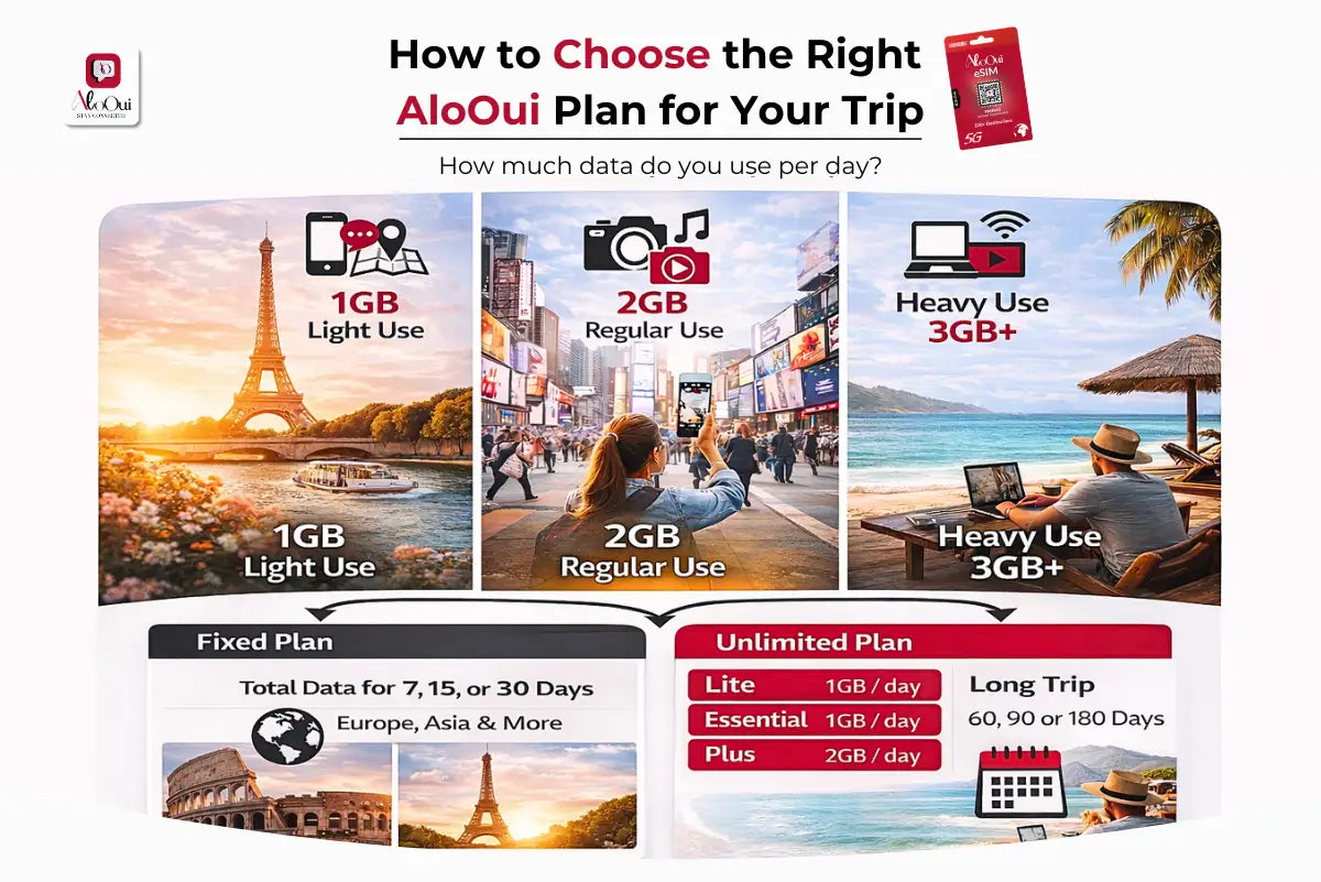 AloOui travel eSIM data plan selection guide