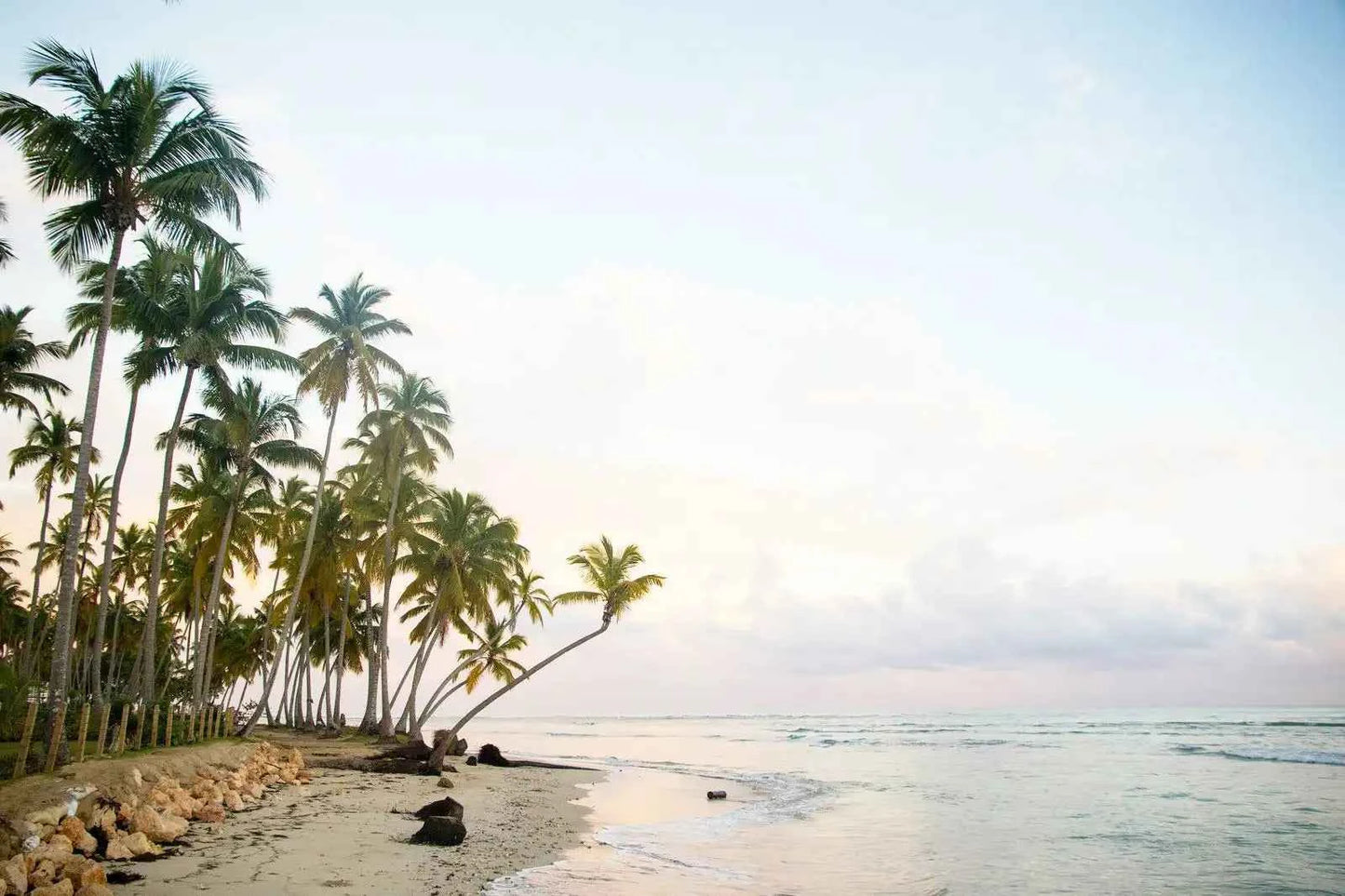 Dominican Republic - AloOui