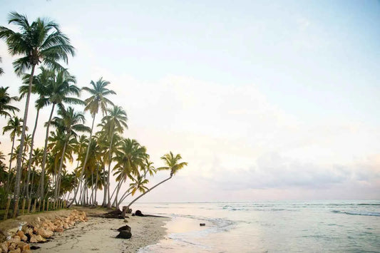 Dominican Republic - AloOui 