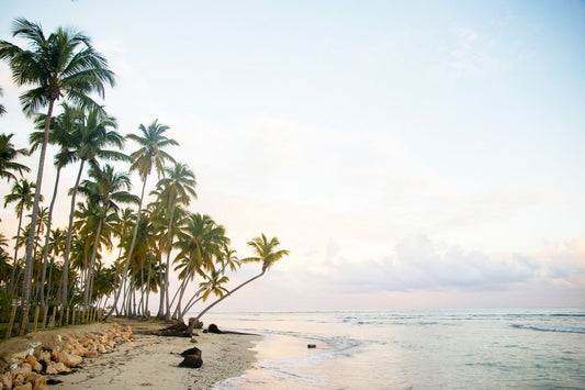 Dominican Republic 