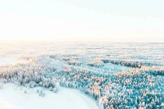 Finland - AloOui 