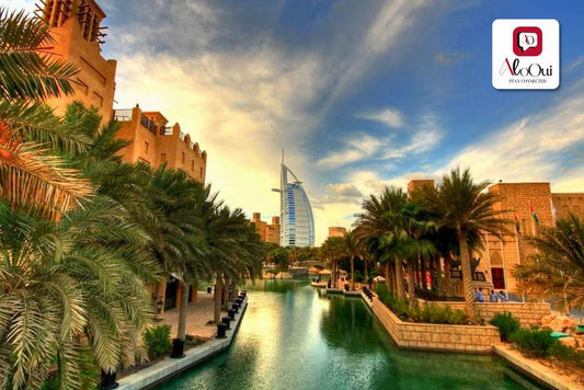 Middle East Long Trip - AloOui 