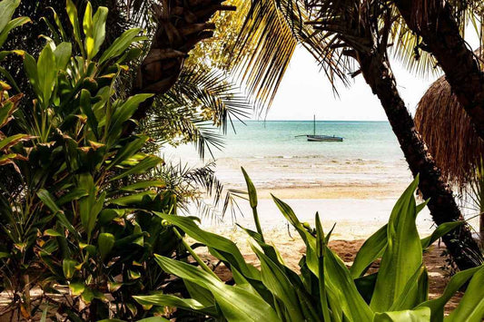 Mozambique - AloOui 