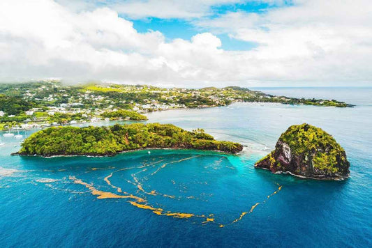 Saint Vincent and the Grenadines - AloOui 
