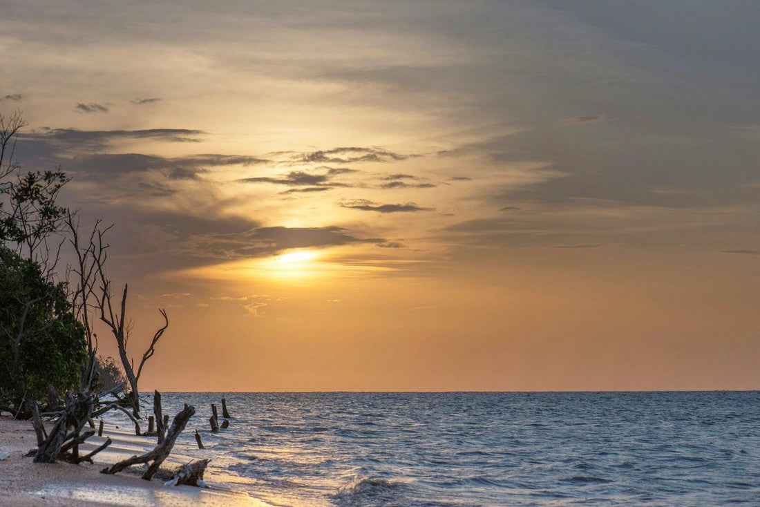Suriname - AloOui
