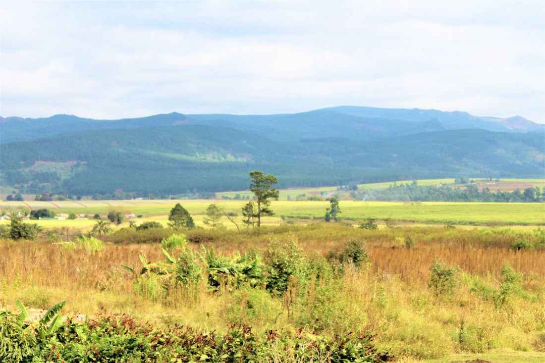 Swaziland - AloOui