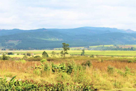 Swaziland - AloOui 