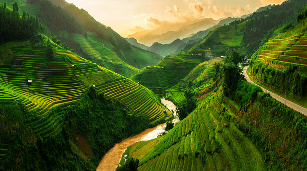 Asia