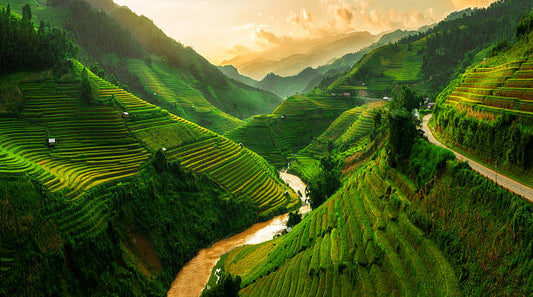 Asia 