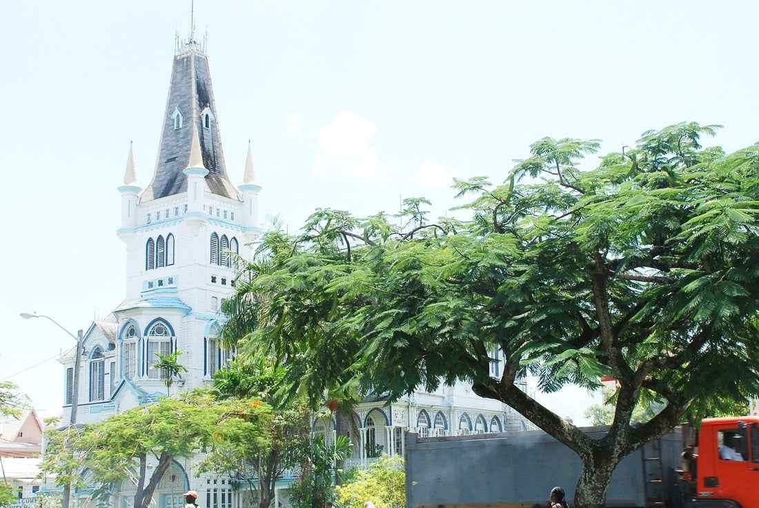 Guyana - AloOui