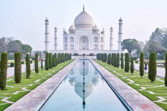 India - AloOui 